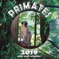 Primates 2019 Mini Wall Calendar