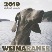 Weimaraner 2019 Mini Wall Calendar