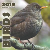 Birds 2019 Mini Wall Calendar