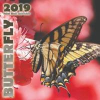 Butterfly 2019 Mini Wall Calendar