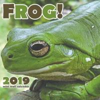 Frog! 2019 Calendar