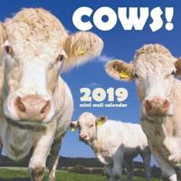 Cows! 2019 Mini Wall Calendar