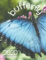 Butterfly 2020 Calendar