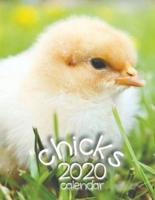 Chicks 2020 Calendar