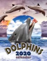 Dolphins 2020 Calendar