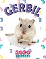 Gerbil 2020 Calendar