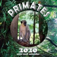 Primates 2020 Mini Wall Calendar