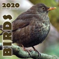 Birds 2020 Mini Wall Calendar
