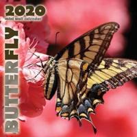 Butterfly 2020 Mini Wall Calendar