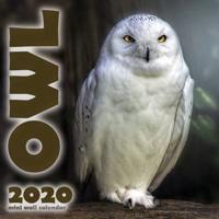The Owl 2020 Mini Wall Calendar