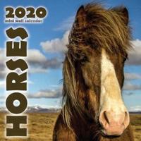 Horses 2020 Mini Wall Calendar