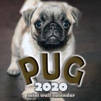 The Pug 2020 Mini Wall Calendar