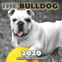 The Bulldog 2020 Mini Wall Calendar