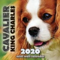 Cavalier King Charles 2020 Mini Wall Calendar