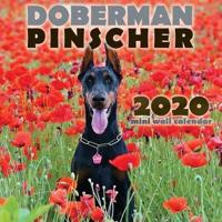 Doberman Pinscher 2020 Mini Wall Calendar
