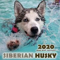 The Siberian Husky 2020 Mini Wall Calendar