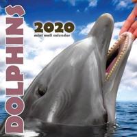 Dolphins 2020 Mini Wall Calendar