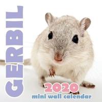 Gerbil 2020 Mini Wall Calendar