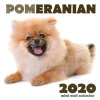 Pomeranian 2020 Mini Wall Calendar