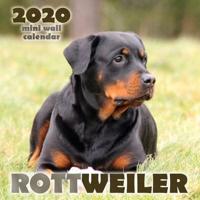 Rottweiler 2020 Mini Wall Calendar