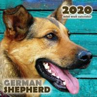 German Shepherd 2020 Mini Wall Calendar