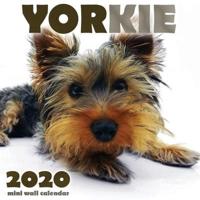 Yorkie 2020 Mini Wall Calendar