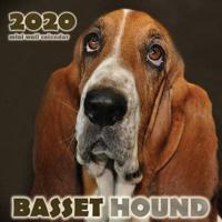 Basset Hound 2020 Mini Wall Calendar