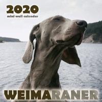 Weimaraner 2020 Mini Wall Calendar