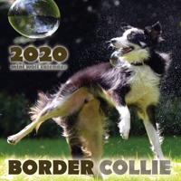 Border Collie 2020 Mini Wall Calendar