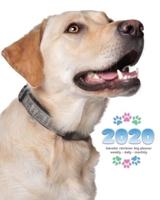 2020 Labrador Retriever Dog Planner - Weekly - Daily - Monthly