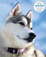 2020 Siberian Husky Dog Planner - Weekly - Daily - Monthly