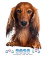 2020 Dachshund Planner - Weekly - Daily - Monthly