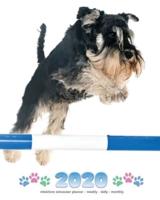 2020 Miniature Schnauzer Planner - Weekly - Daily - Monthly