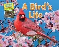 A Bird's Life