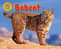 Bobcat