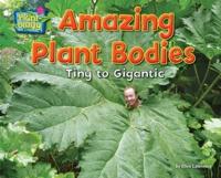Amazing Plant Bodies