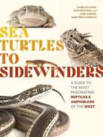 Sea Turtles to Sidewinders
