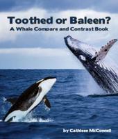 Toothed or Baleen?