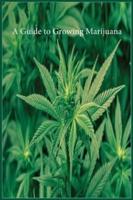 A Guide to Growing Marijuana