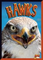 Hawks