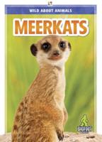 Meerkats