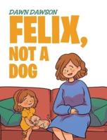 Felix, Not a Dog