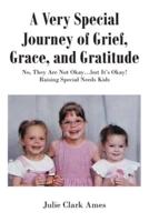 A Very Special Journey of Grief, Grace, and Gratitude: No, They Are Not Okay...but It's Okay! Raising Special Needs Kids