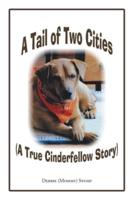 A Tail of Two Cities: A True Cinderfellow Story