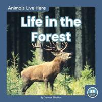 Life in the Forest. Paperback