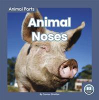 Animal Noses