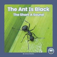 The Ant Is Black