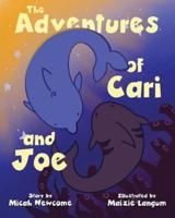 The Adventures of Cari and Joe