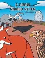 A Crow Named Peter