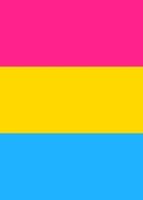 Pansexual Pride Flag Journal